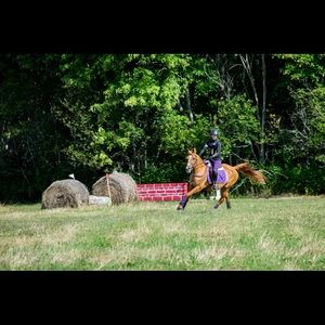 Meet your Posher, Megan